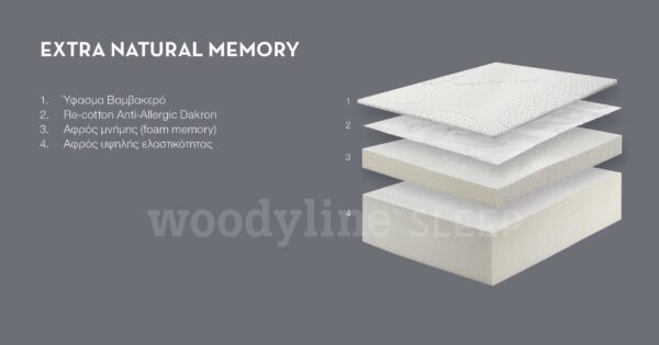 EXTRA NATURAL MEMORY