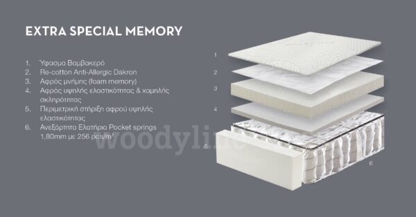 EXTRA SPECIAL MEMORY (1)