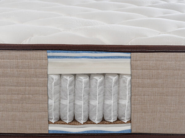 Pathosplus tomi-Edit copy